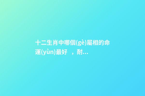 十二生肖中哪個(gè)屬相的命運(yùn)最好，耐看、有氣質(zhì)、修養(yǎng)好的4個(gè)生肖-第1張-觀(guān)點(diǎn)-玄機(jī)派